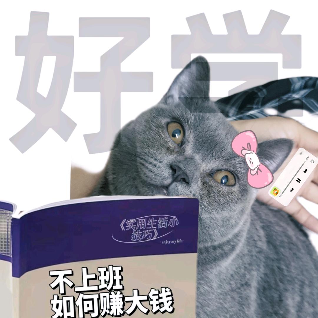 不蒸馒头挣百万