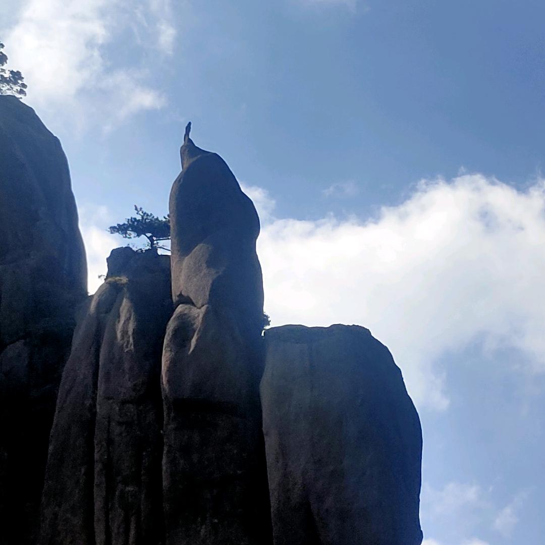 感恩人生遇到的所有人