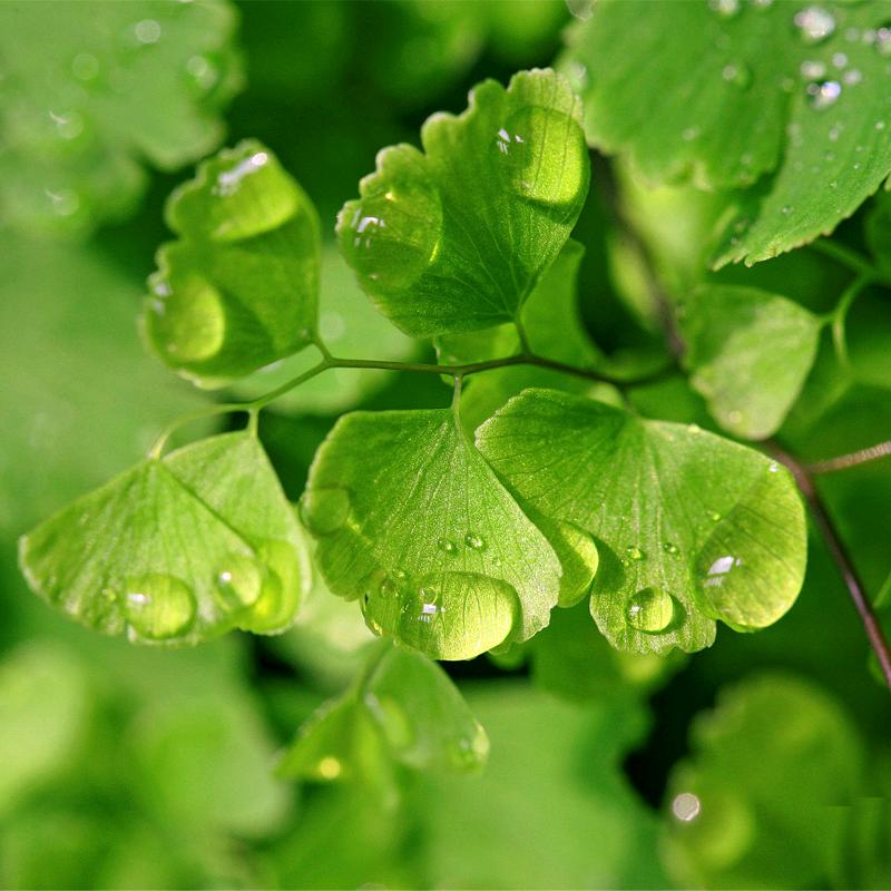 铁力一中 心语室