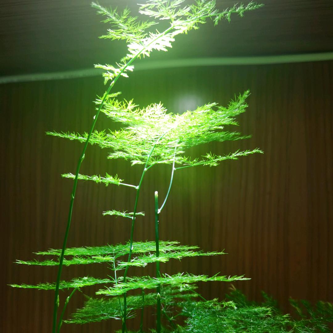 峰平浪静