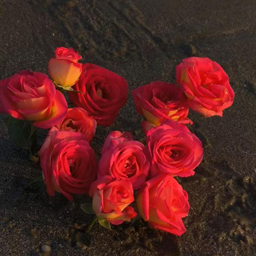 因太深情被判刑