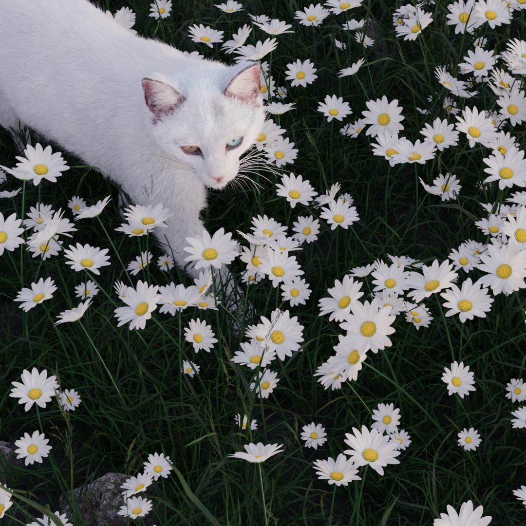 Blossomrich