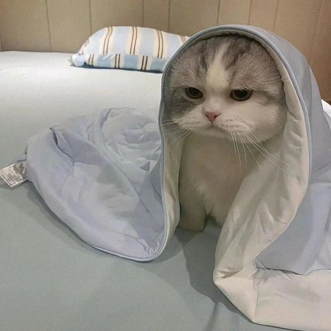 心有山海。
