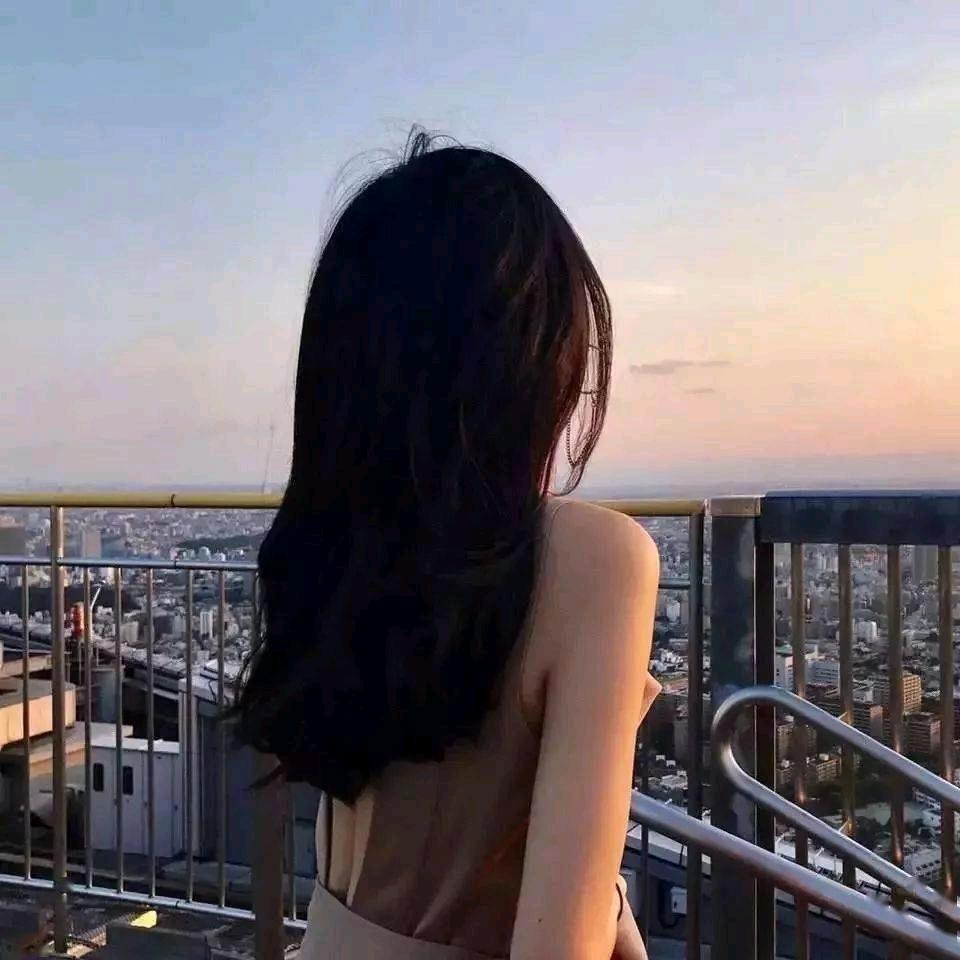 博木追剧
