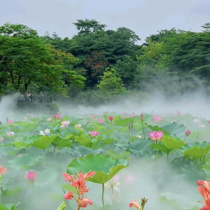 烟雨江南✨✨