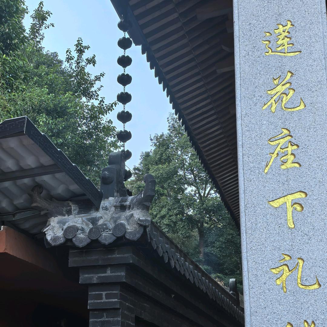 搞钱第一