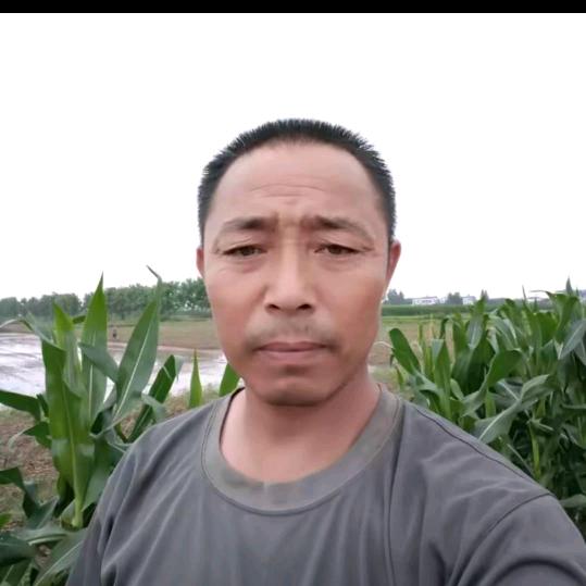 追赶阳光的人