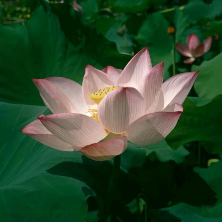 木锦希年月