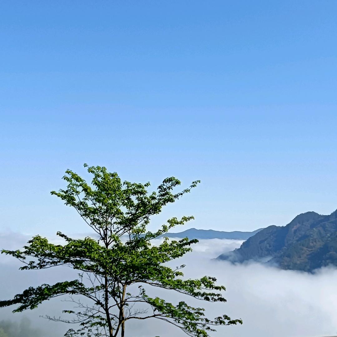 明天更美好
