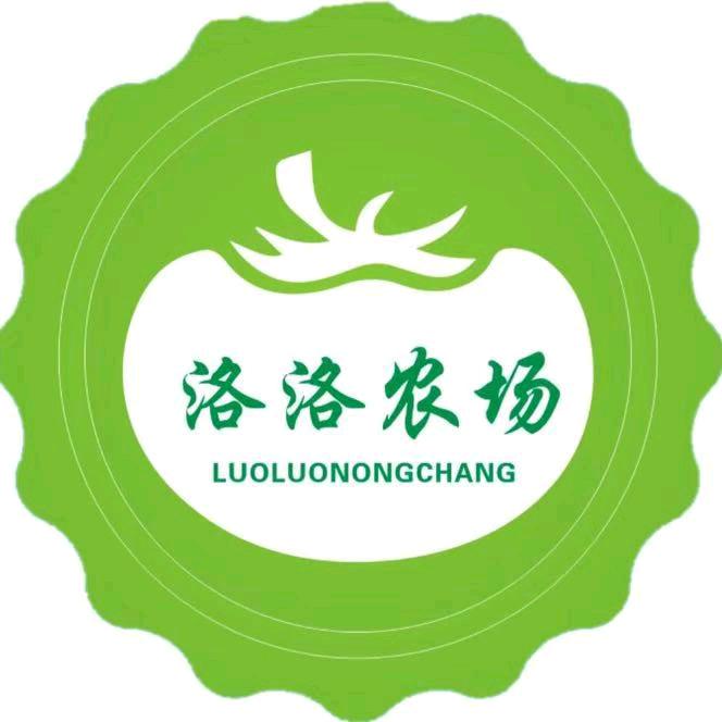 洛洛妍选