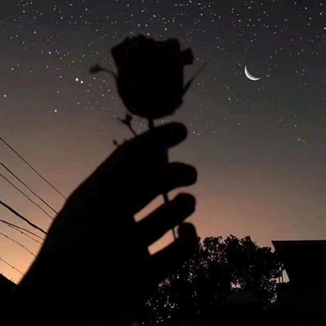 🚬╃ོྂཾ࿆孤独与你ོྂཾ࿆࿐