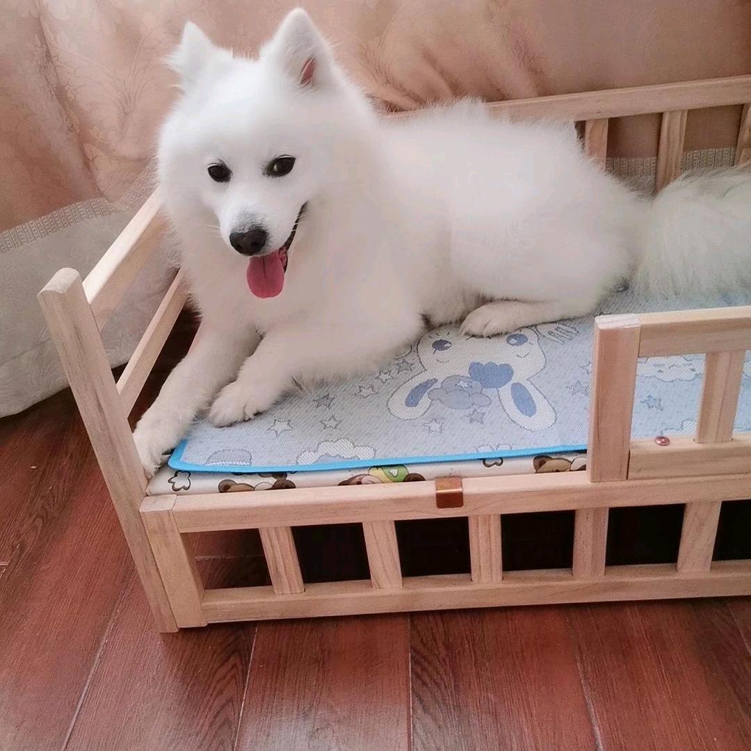 大米