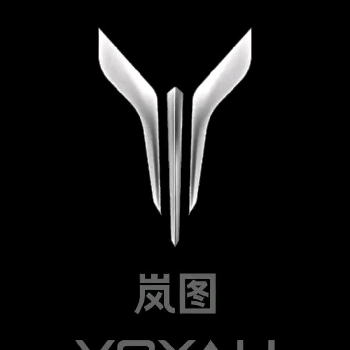 常德岚图汽车-庞伟