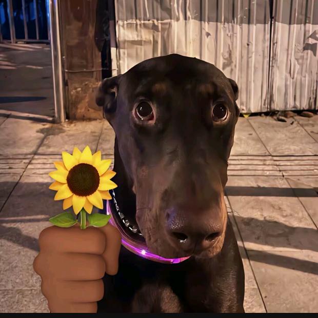 老衲（暗区突围）