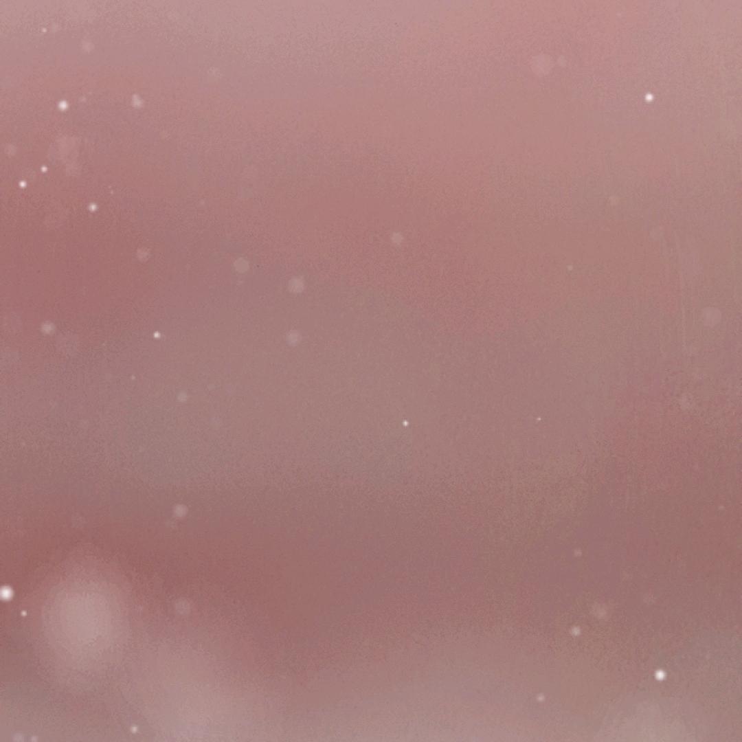 久弘律所-苗律助