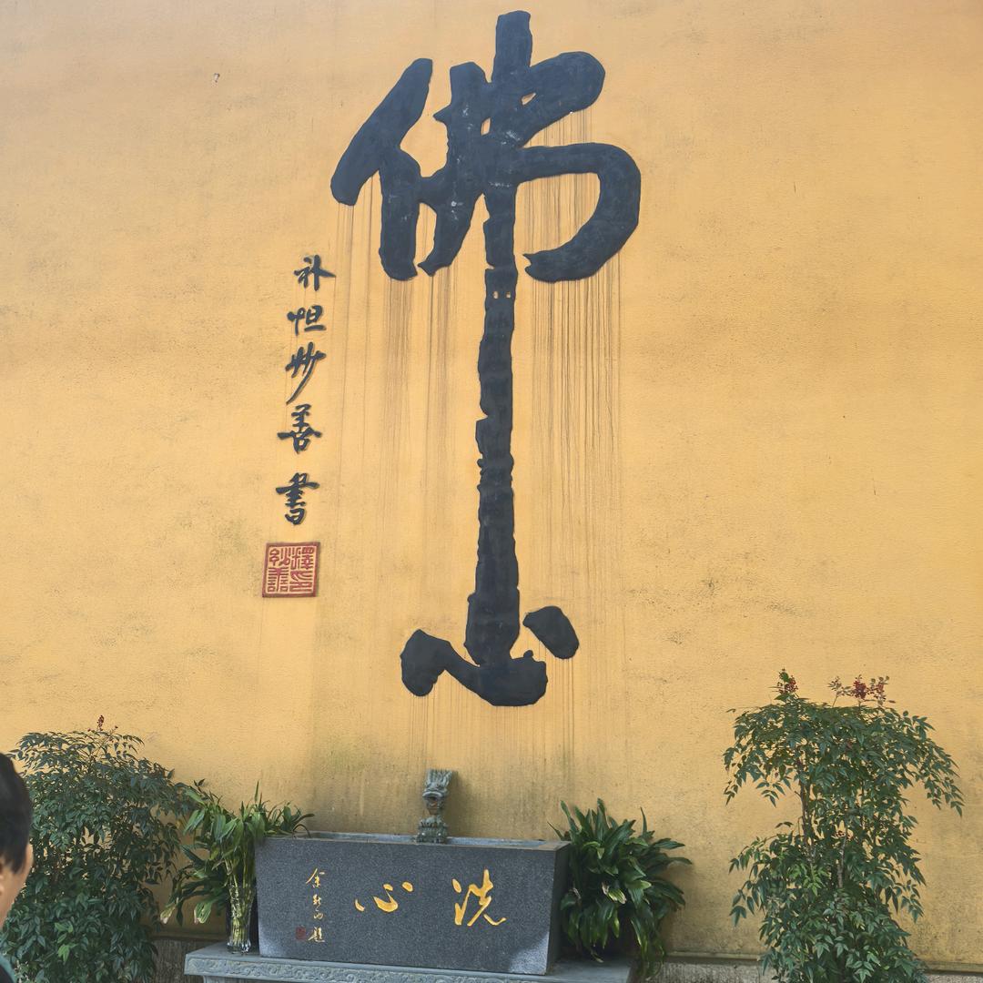 未来可期
