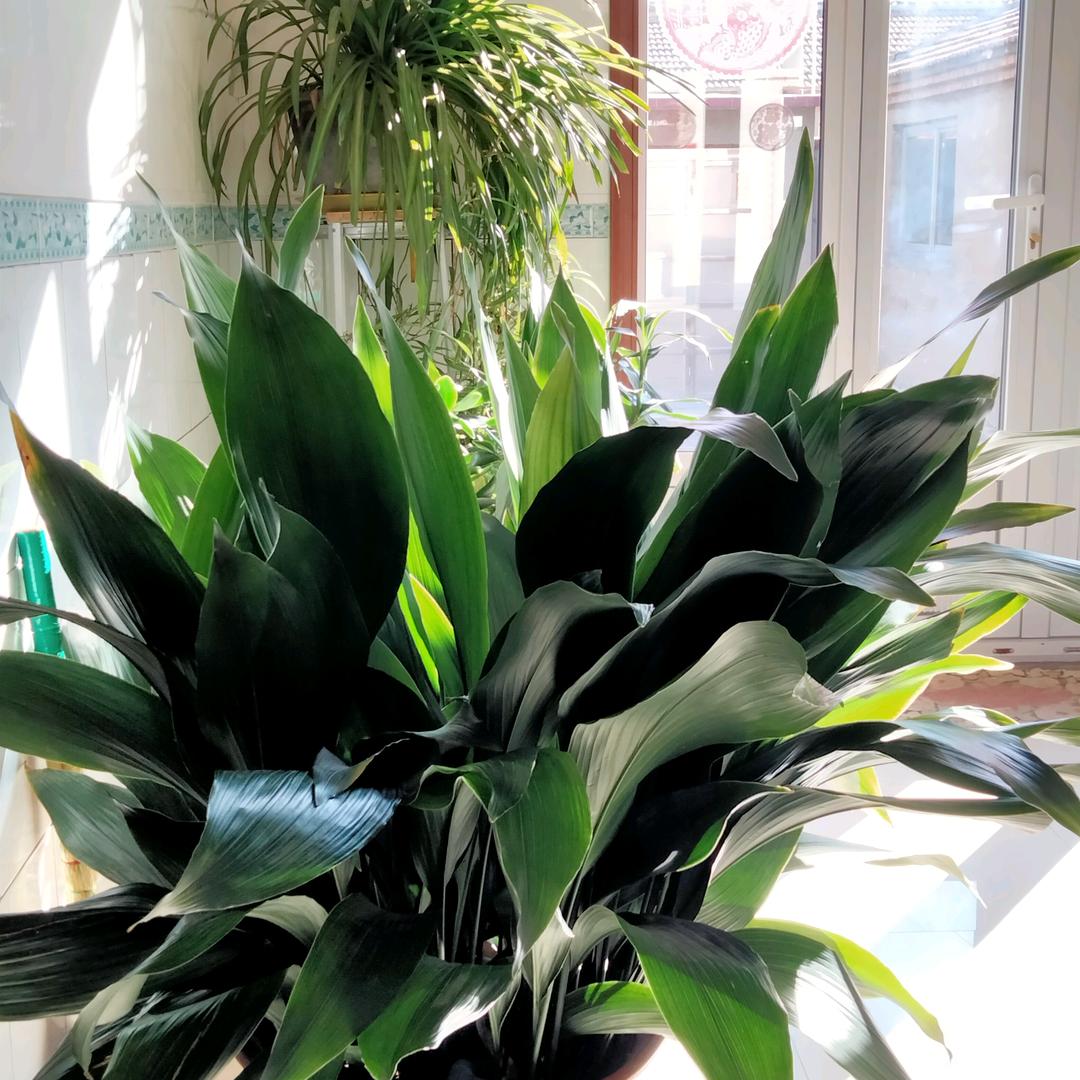 一生💖💖快乐