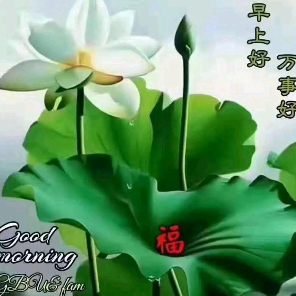 a专业修移空调