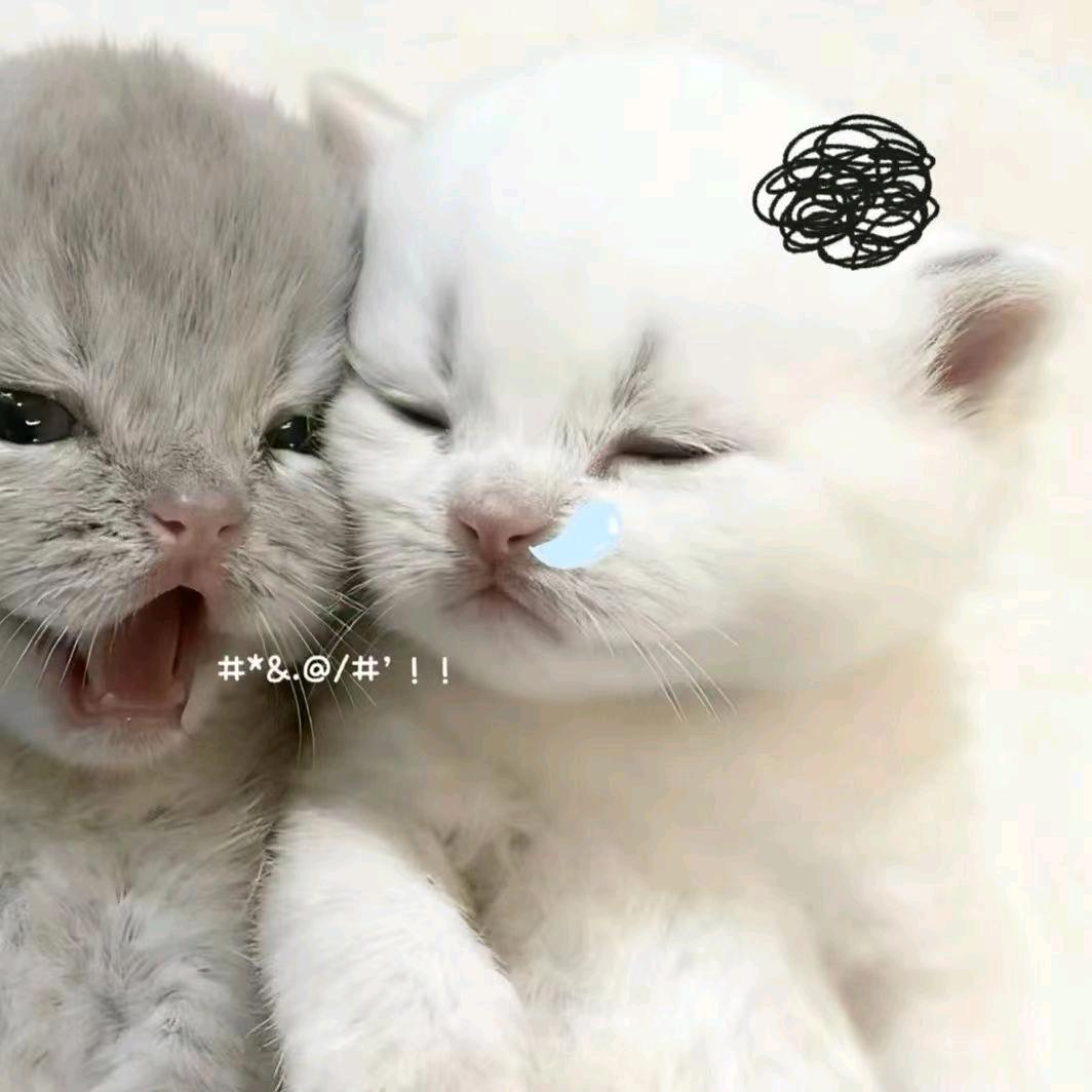 减不下肥的汤汤（准备进藏版）