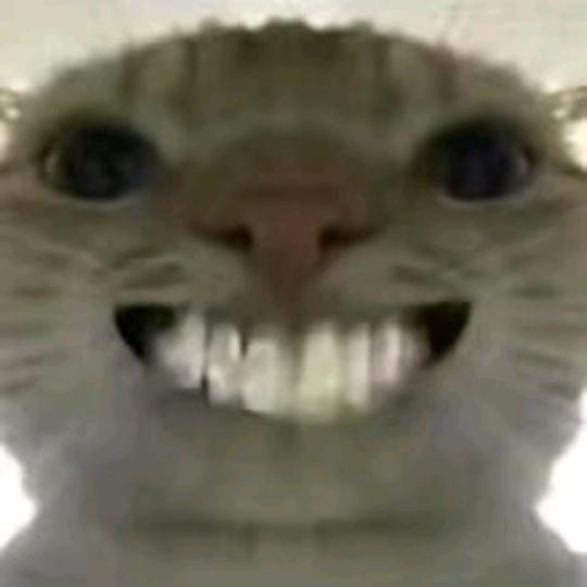 努力打单的鼠鼠（三角洲行动）