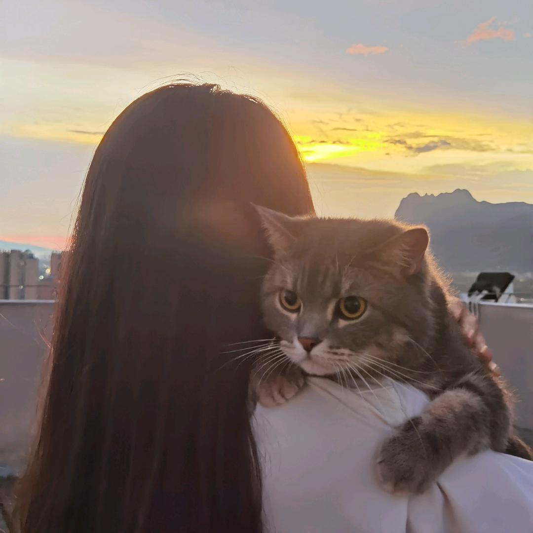 愿世上没有蚊子