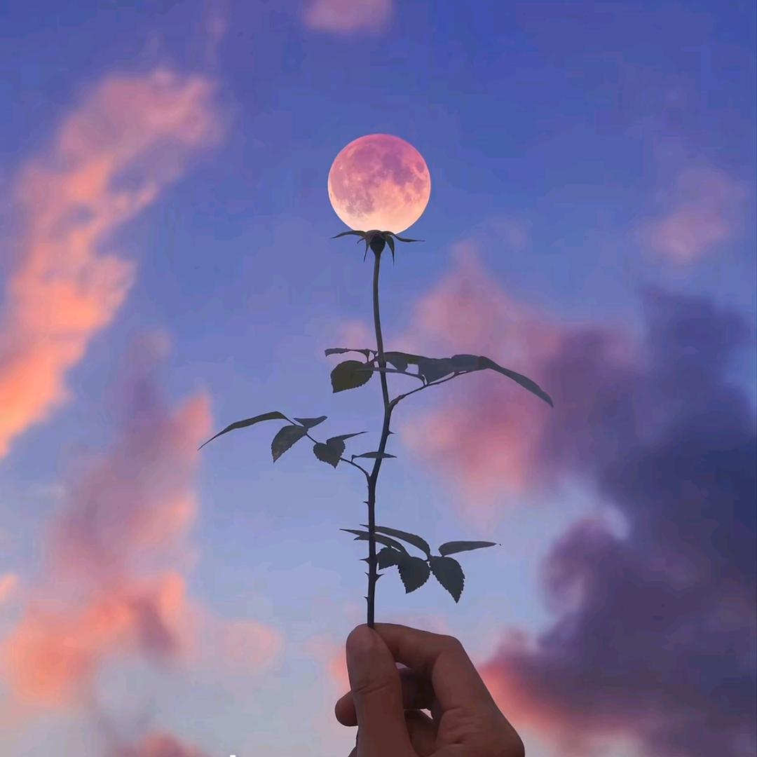 এ傾聽💓訫聲࿐🫧