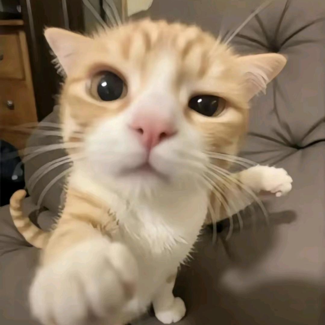 我不是奇观