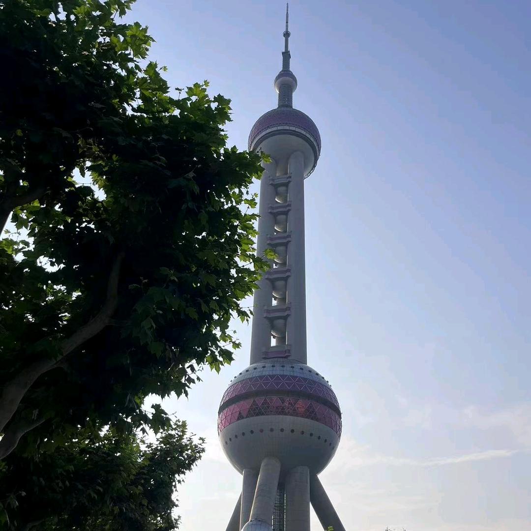 天天向上，
