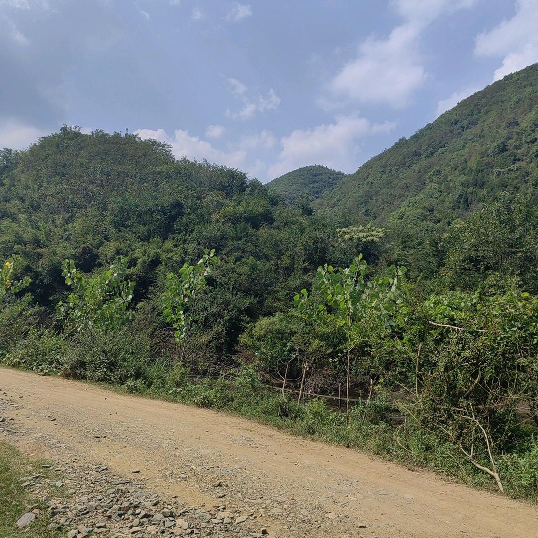 中华民族