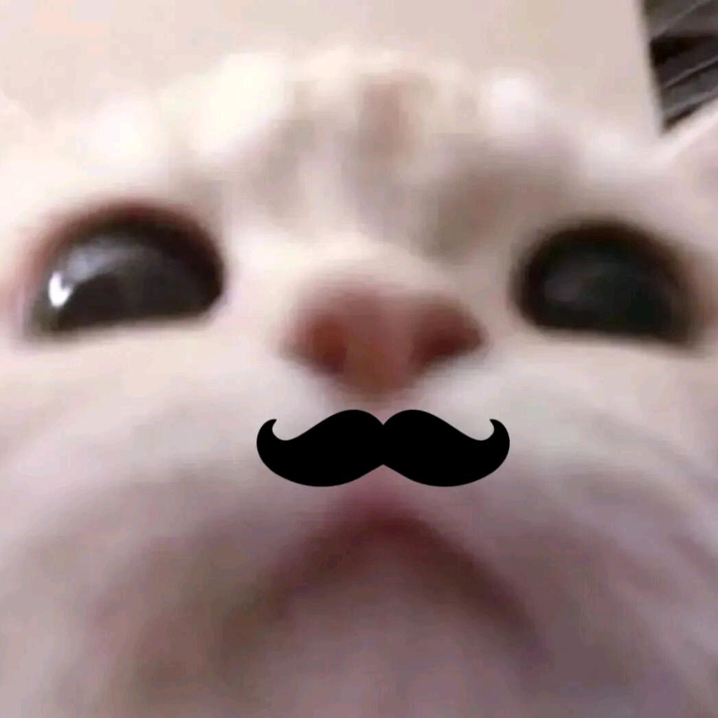 择遥