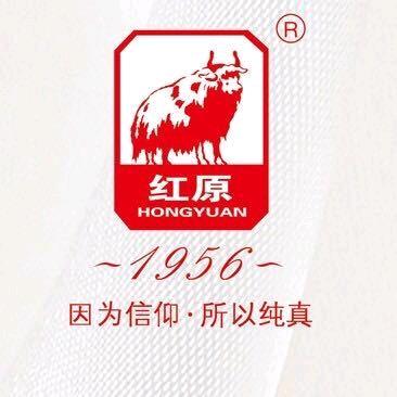 重庆璧山臻源食品