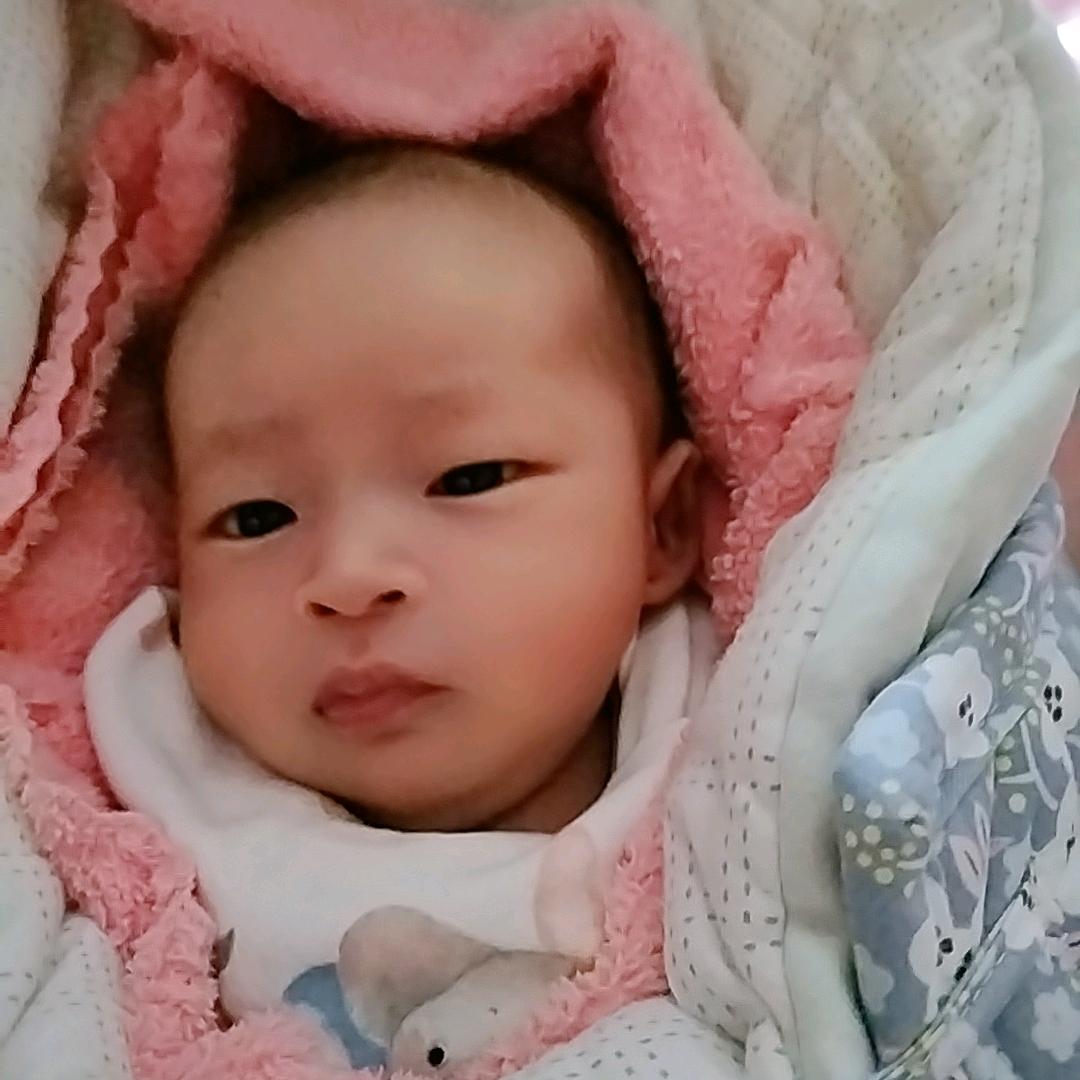 月下风铃