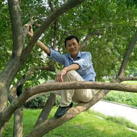 正能量老张，请您关注我