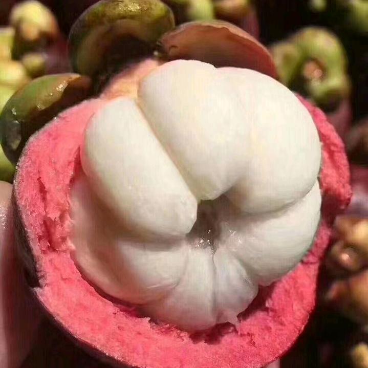 常来果铺 苏门大道中段