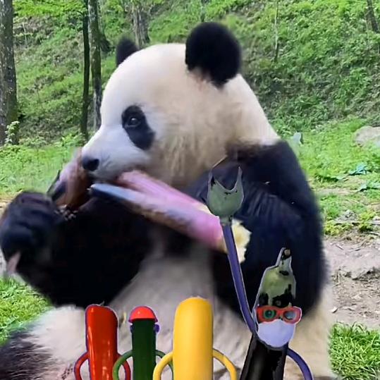 英雄联盟女玩家小法师