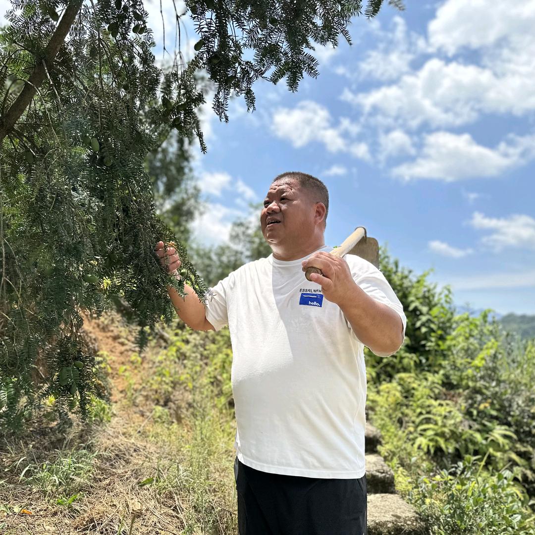 高升林