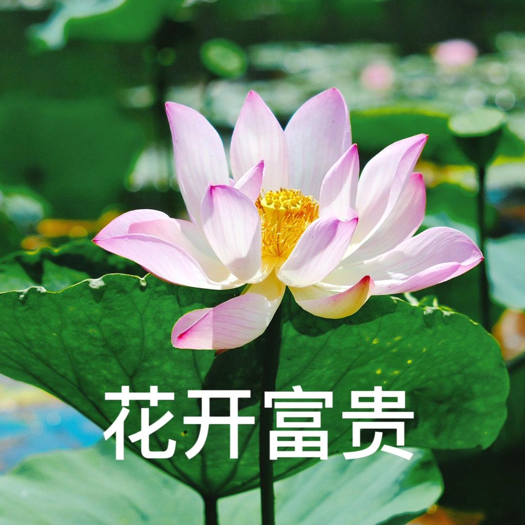 安溪县城厢笑眯眯百货零售商行（个体工商户）