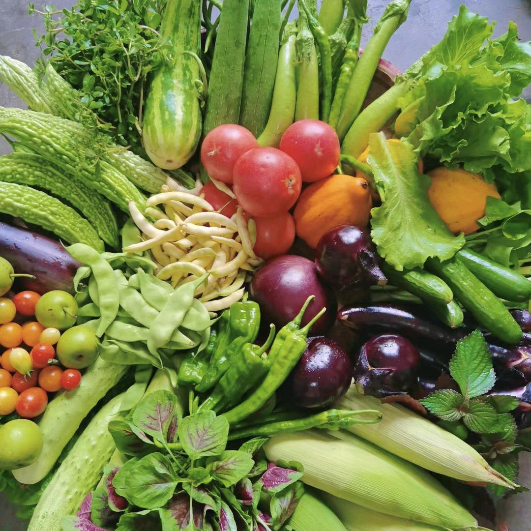 低碳水零食@叹低低