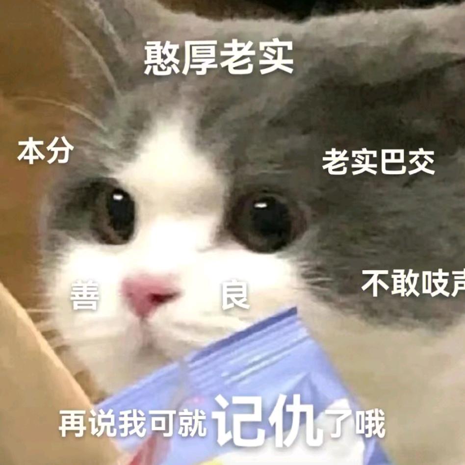 追童趣•圣冰体育