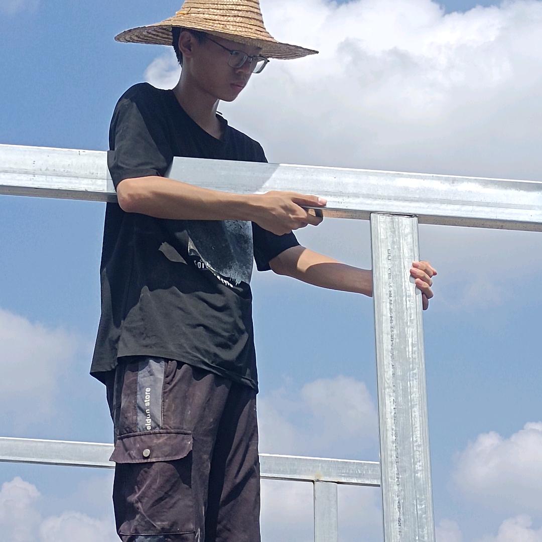 南风未恋