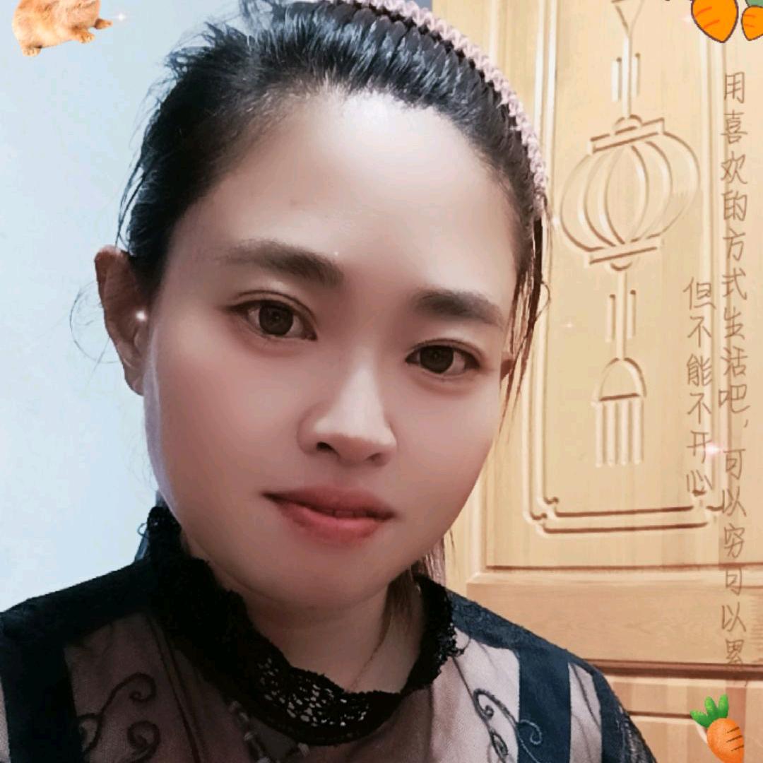 梦鸽