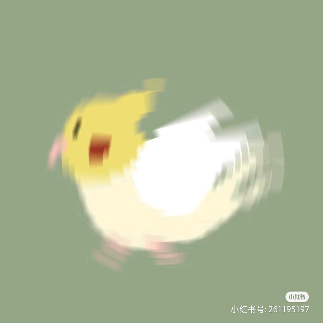 笨鸟不会飞🐤