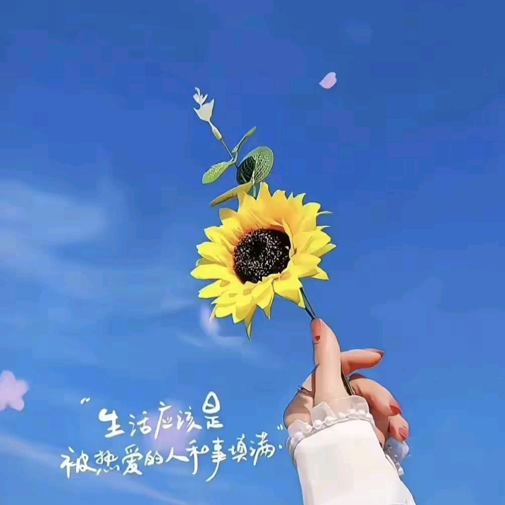 青夏