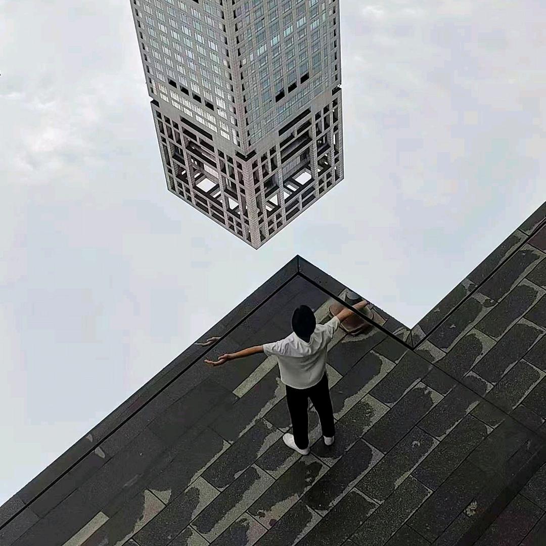 羁鸟恋旧林
