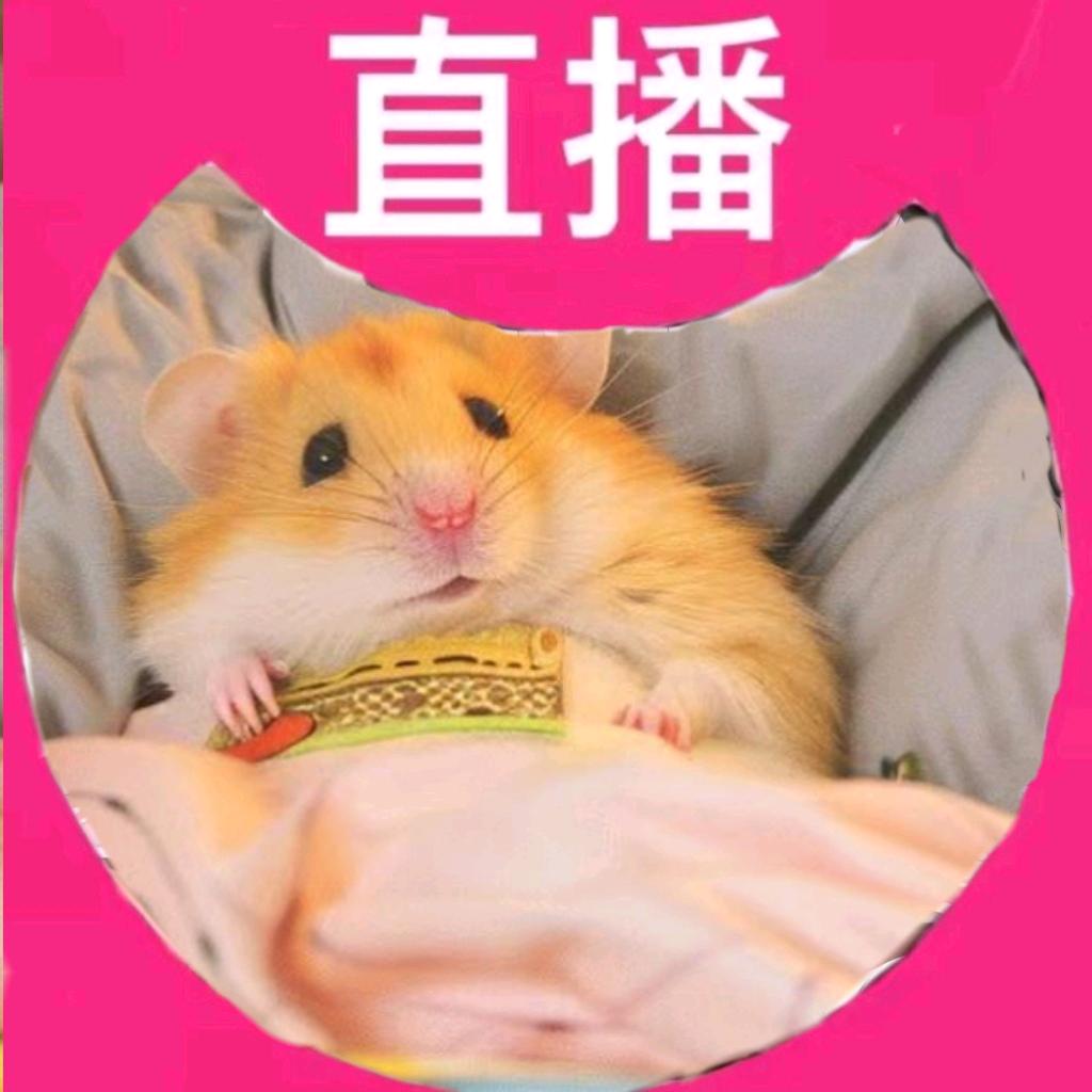 小瓜子.