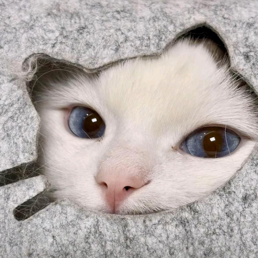 要早睡