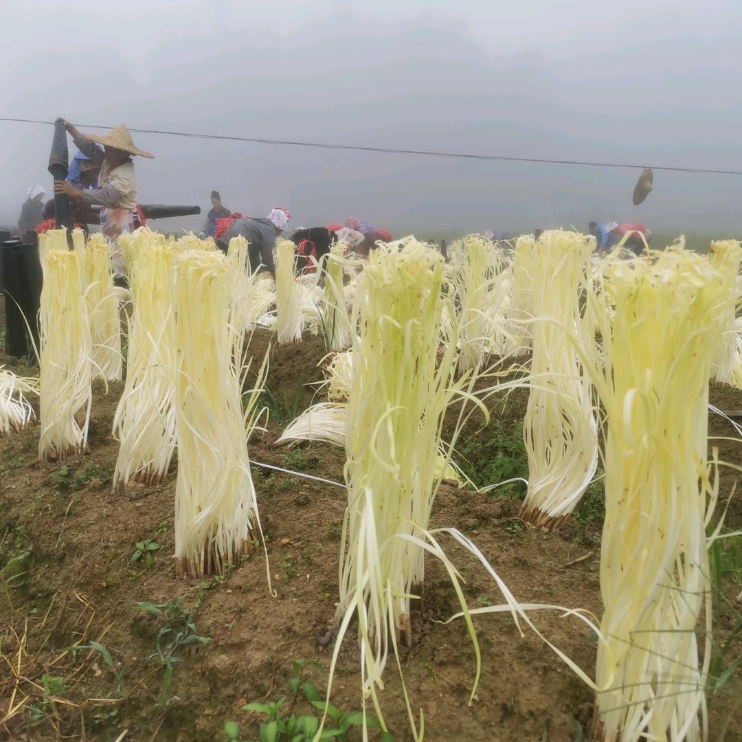 贵州梦畅农业发展有限公司