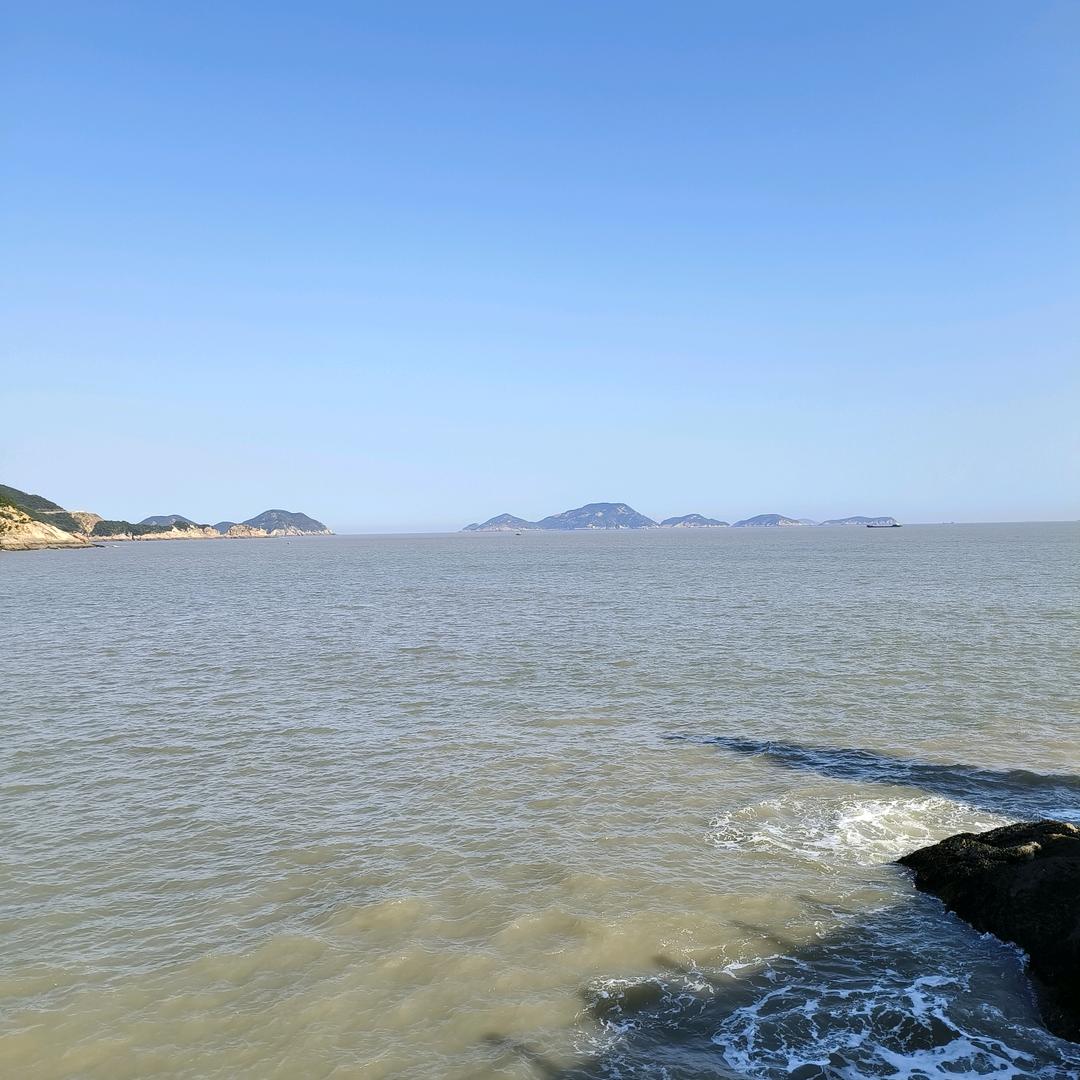 沙漠里的一只狼