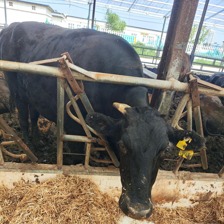 华胜缘牛肉