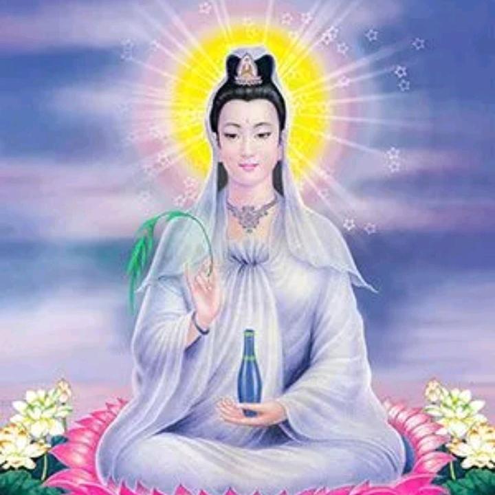 🦊阿弥陀佛🐉